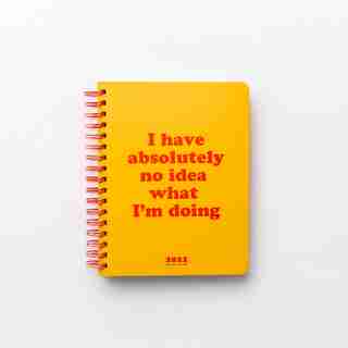 Hobbry August 2021 - December 2022 Large Spiral No Idea What I’m Doing Planner