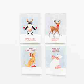 Boîtes de 12 cartes Fêtes21 Bêtes et pompons