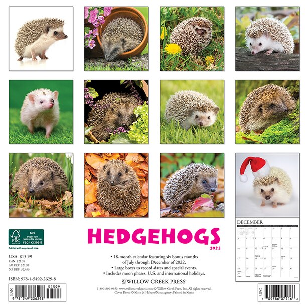 2023 12M WALL 12X12 Hedgehogs Calendar by Willow Creek Press Gifts