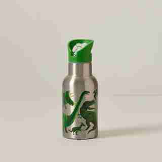 Bouteille en acier inoxydable/dinosaure