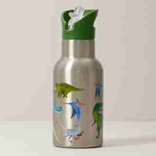 Stainless Bottle Dinosaur