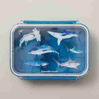 Bento Box Camo Shark