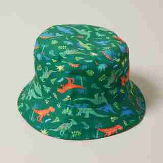 Bucket Hat, Dinosaur