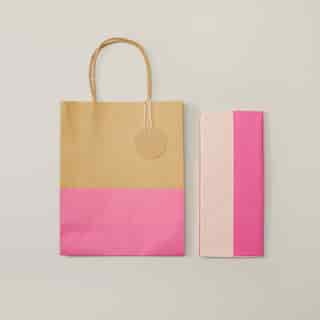 Gift Bag Pink Tissue Bundle 2 Pack