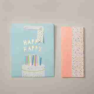 FSC MEDIUM GIFT BAG AND TISSUE BUNDLE, BIRTHDAY CAKE CONFETTI