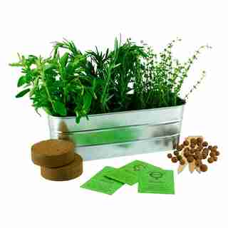 Herbs Gardening Kit - Italian