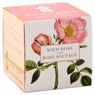 Ecocube Wild Rose Grow Kit