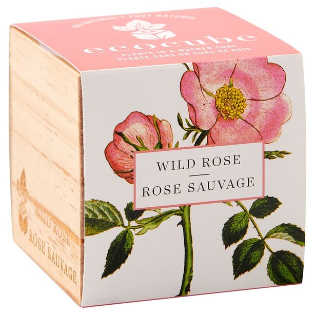 Ecocube Wild Rose Grow Kit