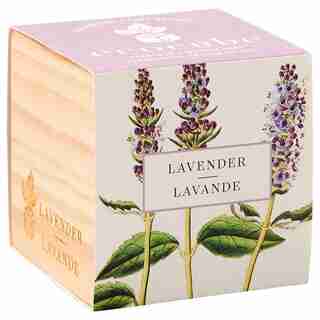 Ecocube Lavender Grow Kit