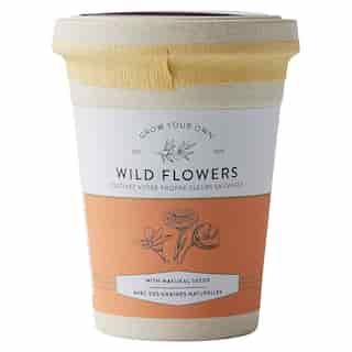 ECOPOT WILD FLOWERS GROW KIT
