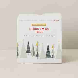 CHRISTMAS TREE GROW KIT