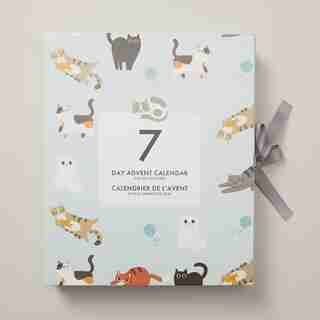 7 DAY CAT CALENDAR GIFT SET