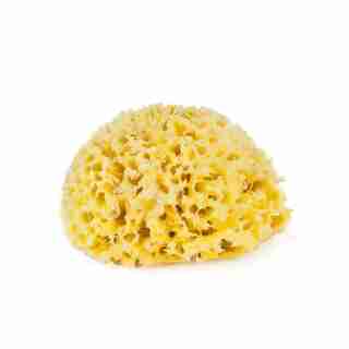 Natural Mediterranean Sea Sponge Honeycomb, Medium