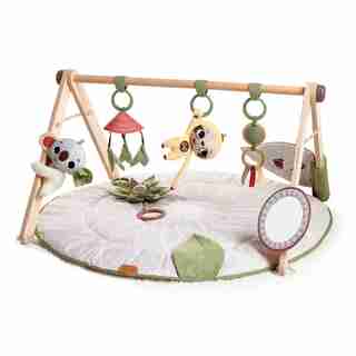 Boho Chic Luxe Developmental Gymini