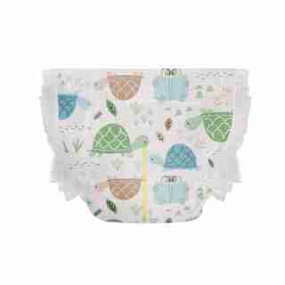 The Honest Company Couches Taille 2 Heure de la tortue