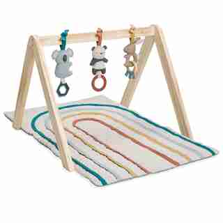 Ritzy Activity Gym™