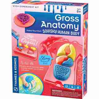 GROSS ANATOMY: MAKE-YOUR-OWN SQUISHY HUMAN BODY