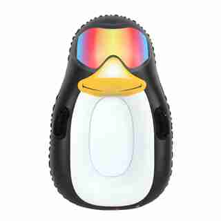 Penguin Snow Tube