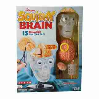 Smartlab The Amazing Squishy Brain