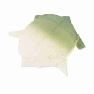Oli & Carol H2Origami Turtle