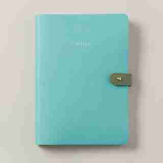 SMALL BUTTON JOURNAL, MINT