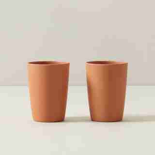 SET OF 2 BAMBOO FIBRE TUMBLERS TERRACOTTA