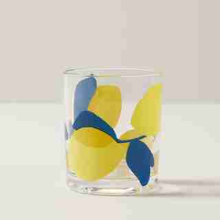 ACRYLIC LOWBALL LEMONS