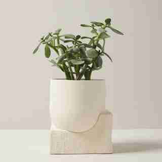 6" SCULPTURAL PLANTER, IVORY