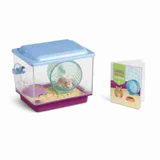 American Girl Class Pet Hamster