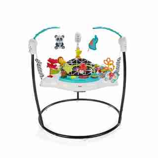 Fisher-Price® Animal Wonders Jumperoo®