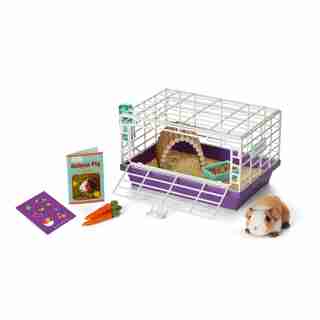 Courtney's Guinea Pig