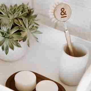 Dish Brush