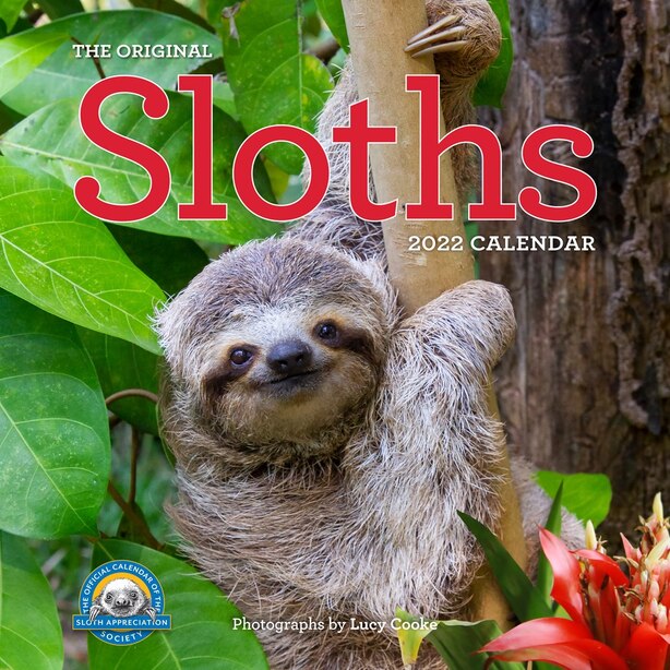 2022 The Original Sloths Wall Calendar by Workman Calendars Gifts