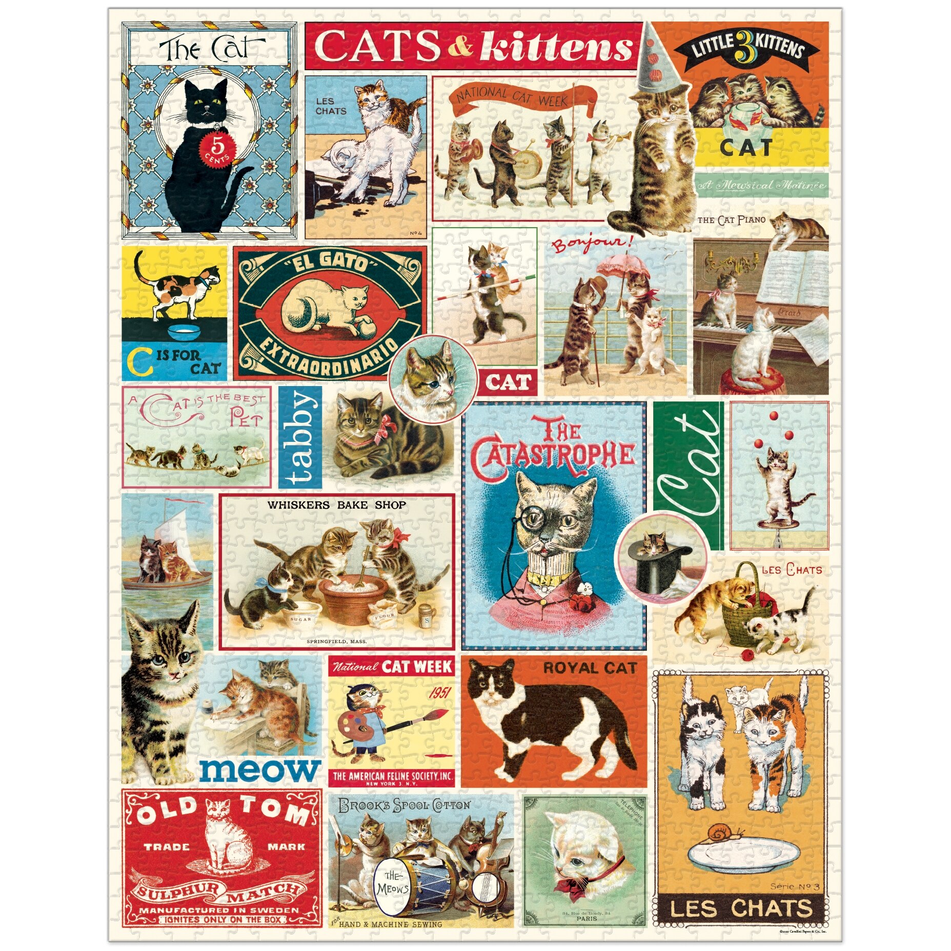 Cats & Kittens 1000pc Puzzle ('') | Indigo