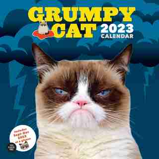 Calendrier Mural (2023) - Chat Grincheux
