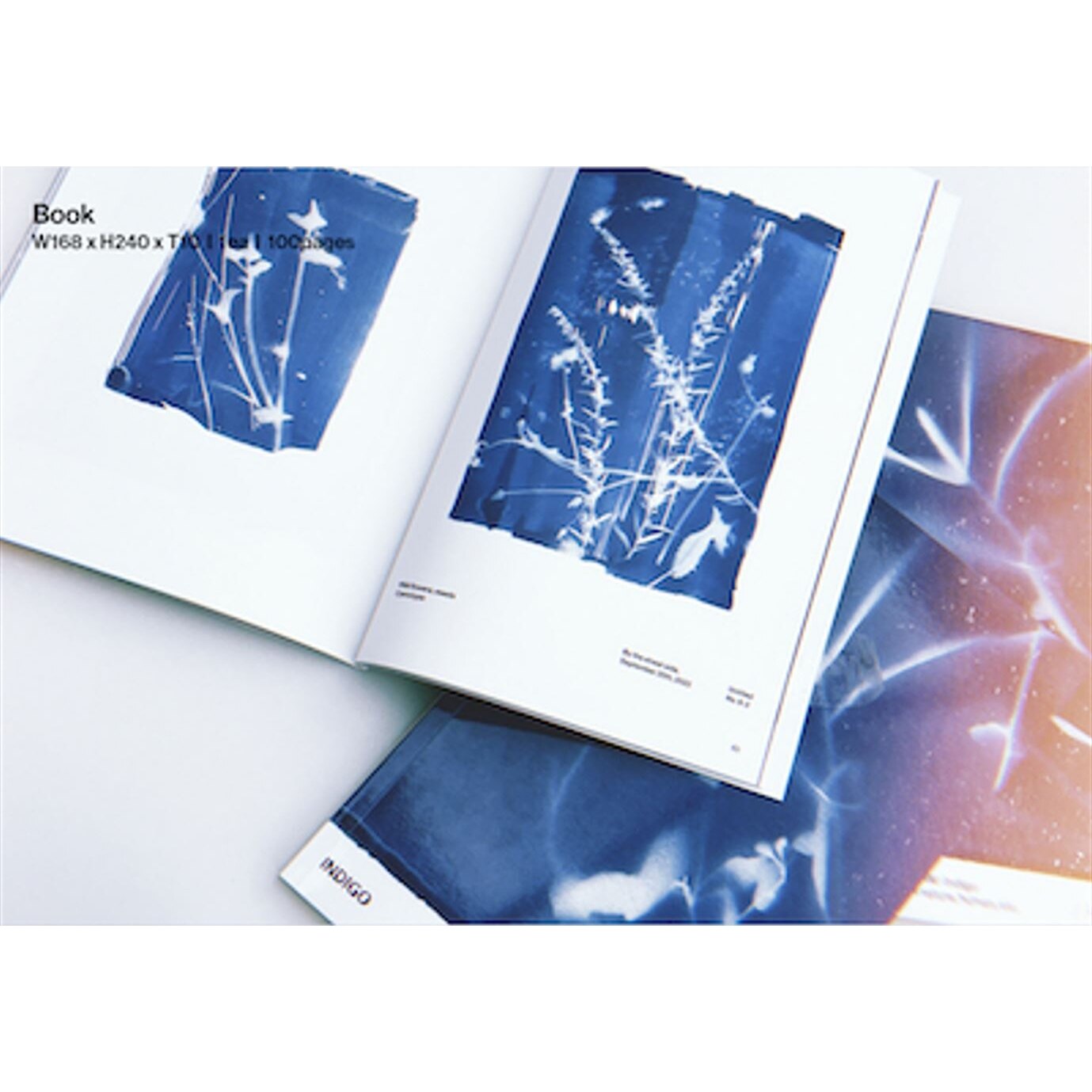 Book Edition By Rm (bts) (1 Cd) (indigo Exclusive) ('') | Indigo