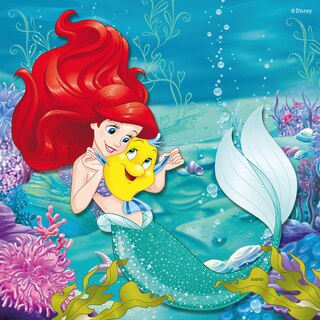 Princesses Adventure, Set Of 3, 49 Pieces image number 3
