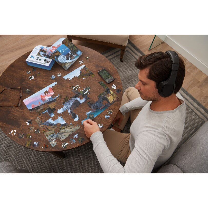 300-Piece Calm Puzzle For Relaxation, Stress Relief, And Mood Elevation, For Adults And Kids Ages 8 And Up, Quiver Tree image number 1