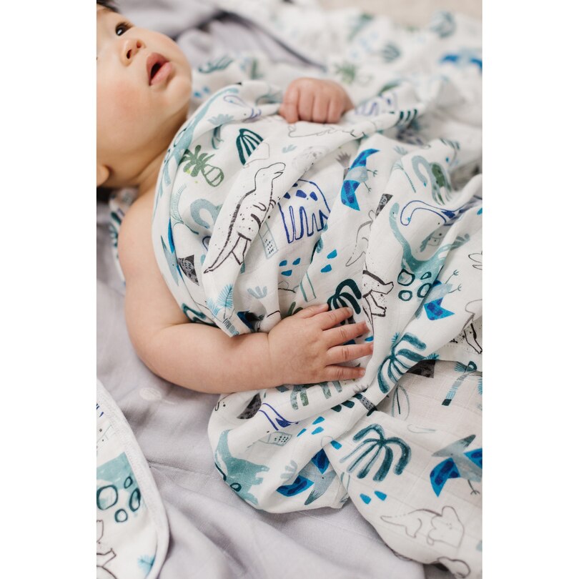 Muslin Swaddle, Dinosaurs