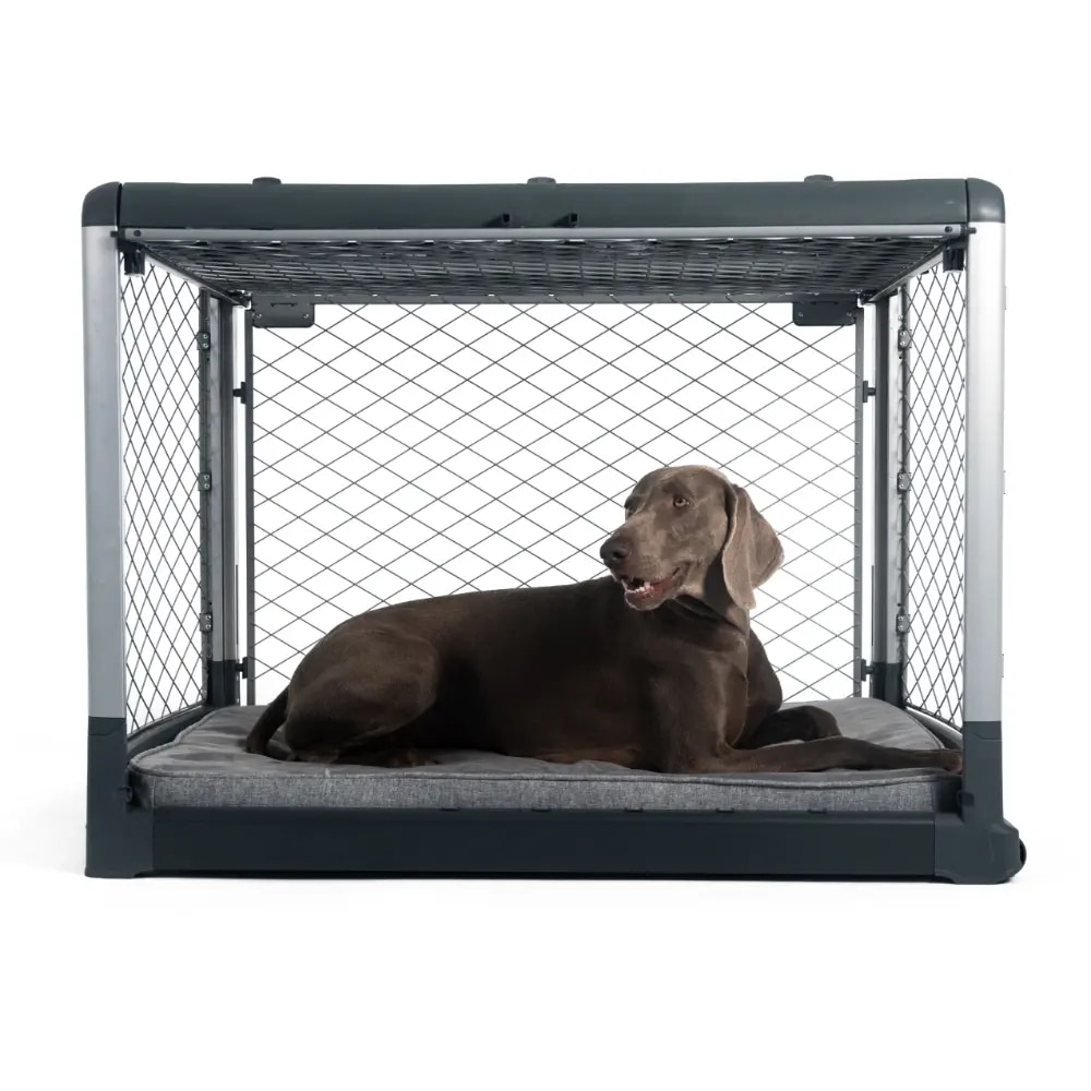 Diggs pet outlet crates