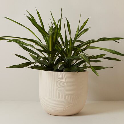 Arch Planter, 14"