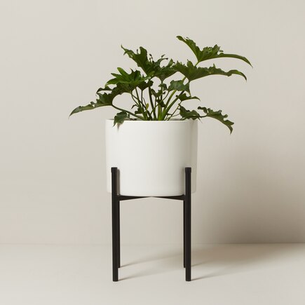 Metal Plant Stand With Pot 10” Black & Bisque
