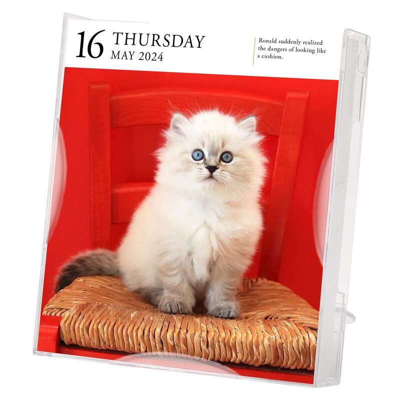 Cat Page-a-day Gallery Calendar 2024 image number 5