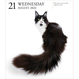 Cat Page-a-day Gallery Calendar 2024 image number 7
