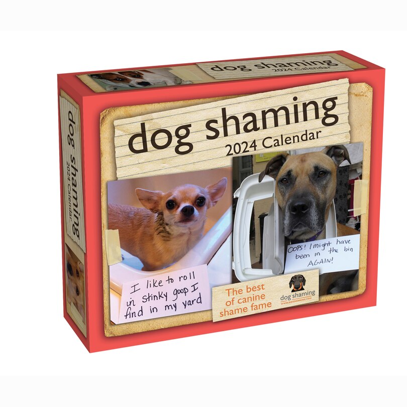2024 Dog Shaming DaytoDay Calendar Indigo