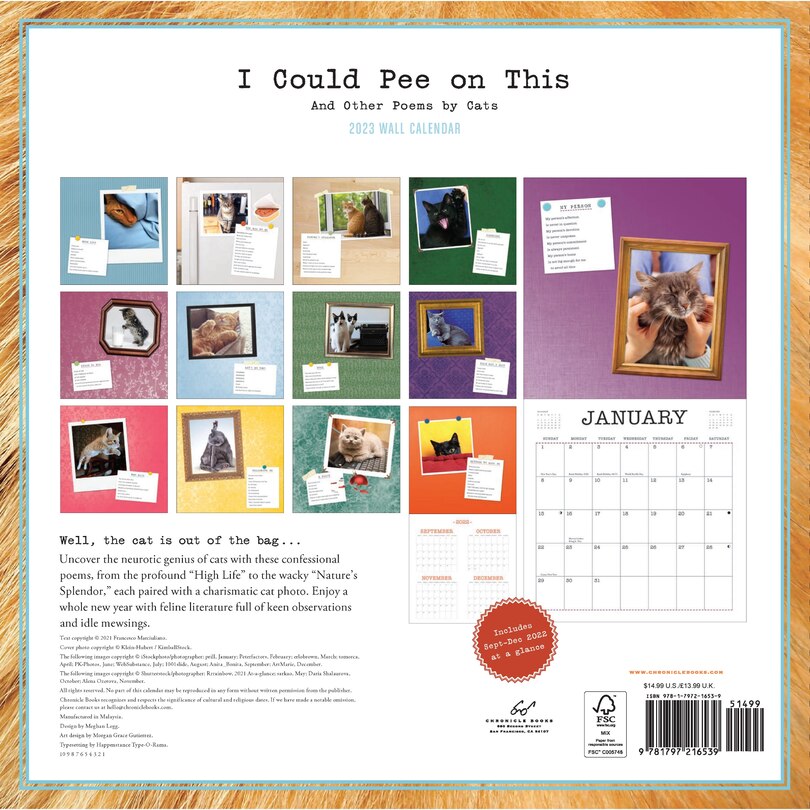 2023 Wall Calendar, I Could Pee On This Indigo